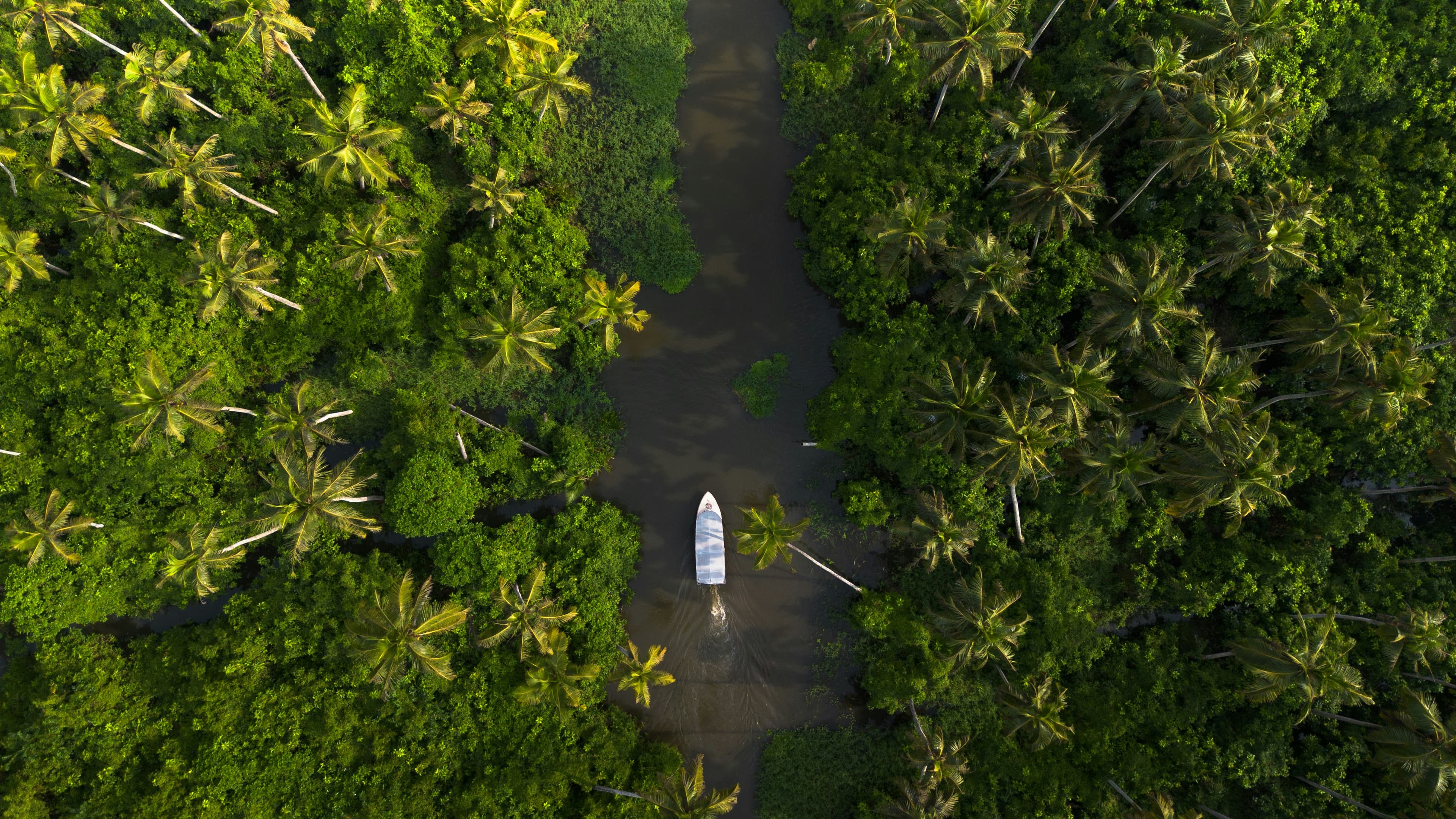 Backwaters & Hills of Kerala gallery image 5
