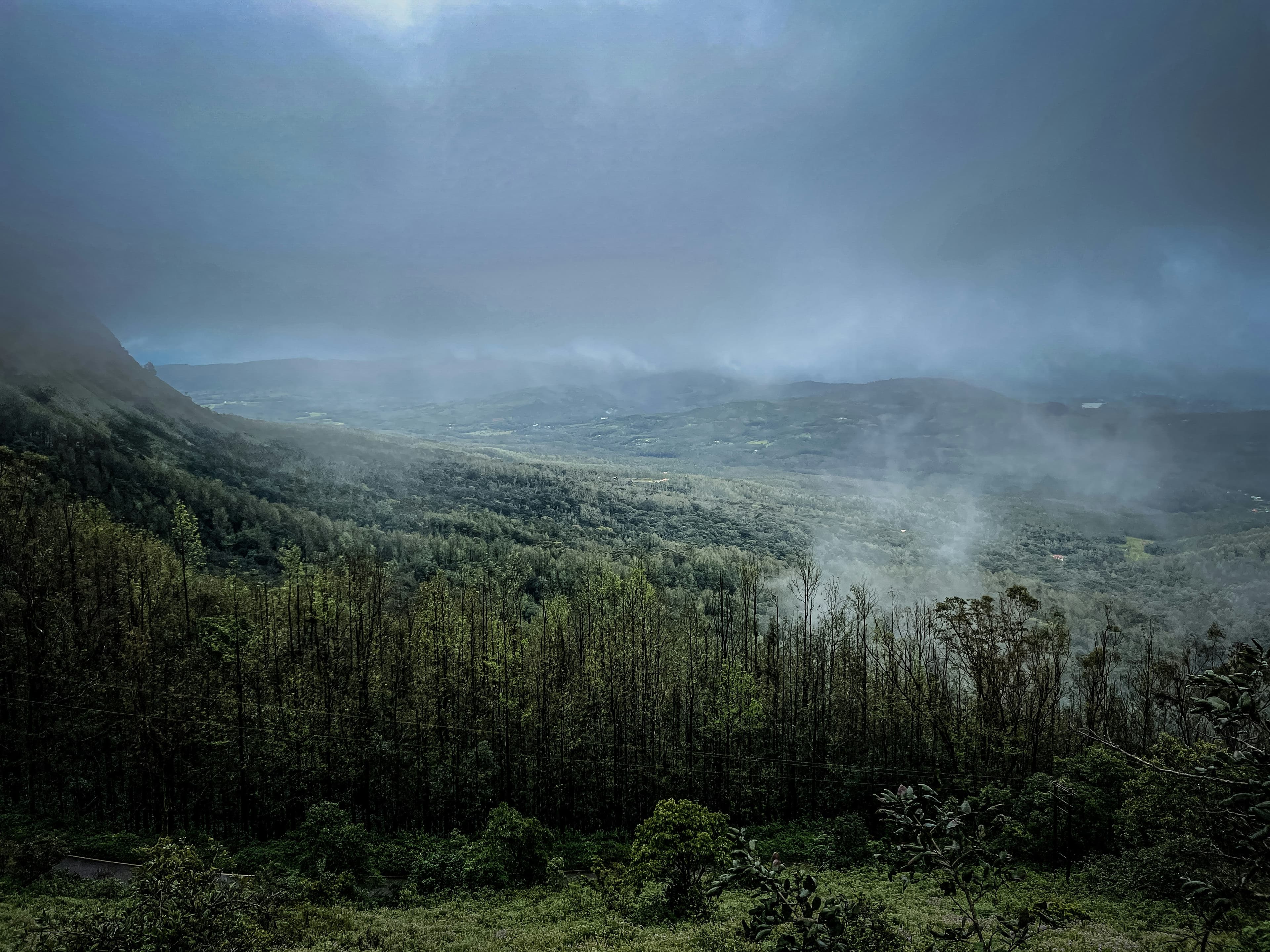 A stunning, serene travel destination in Kerala