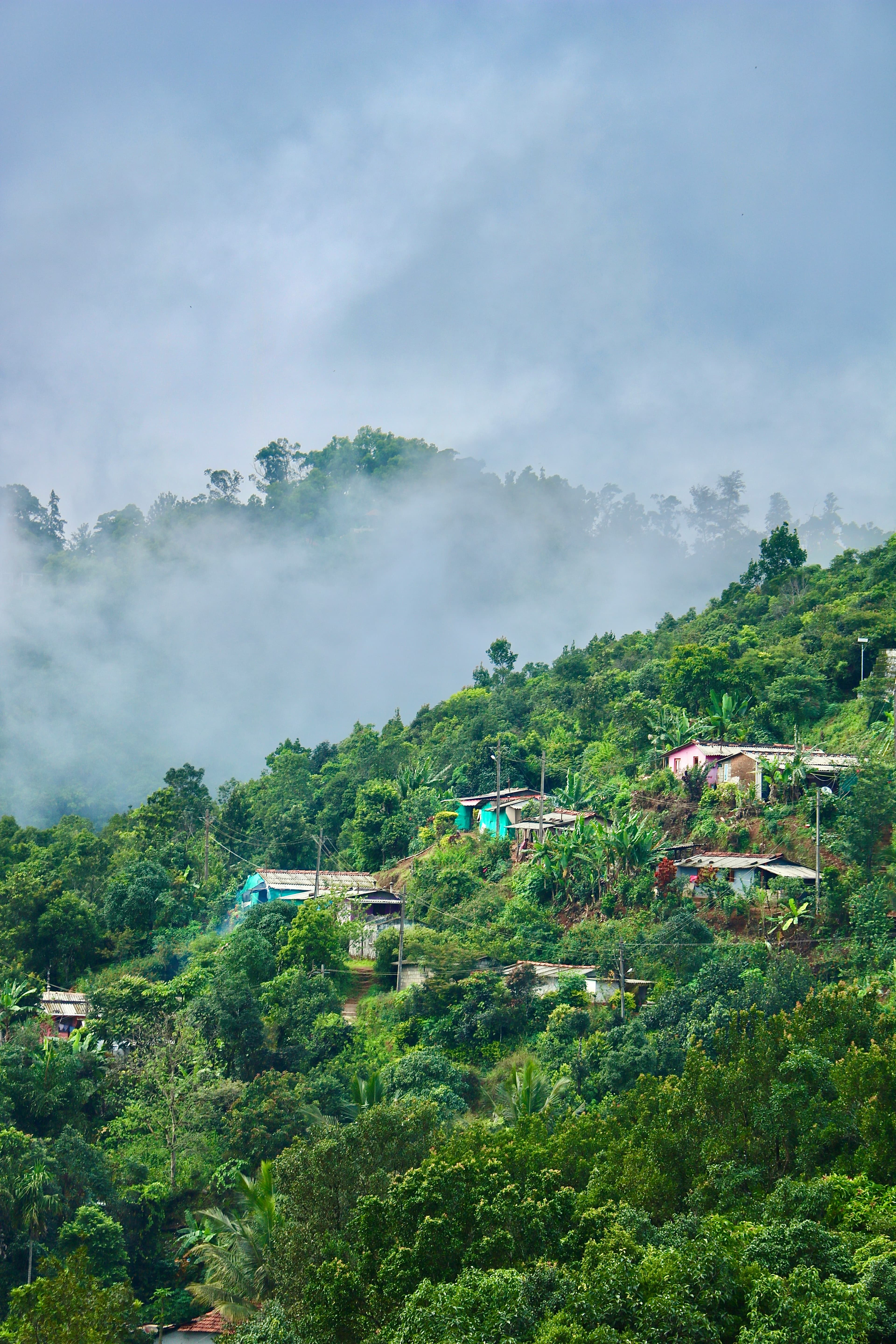 Coorg (Kodagu) gallery image 3