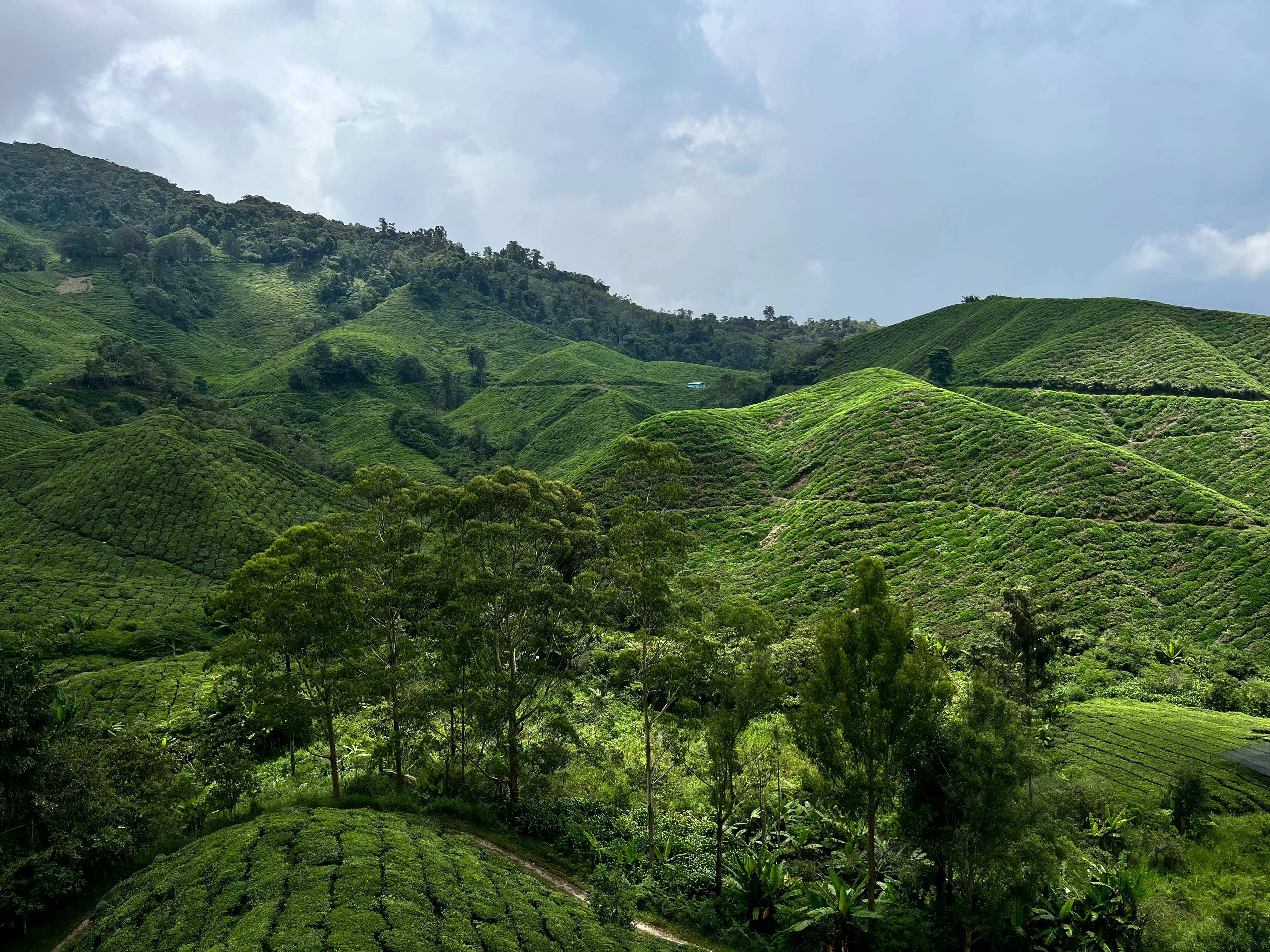 Image of Ooty